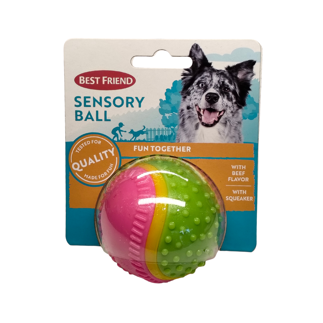 Koiran pallo Best Friend Sensory Ball