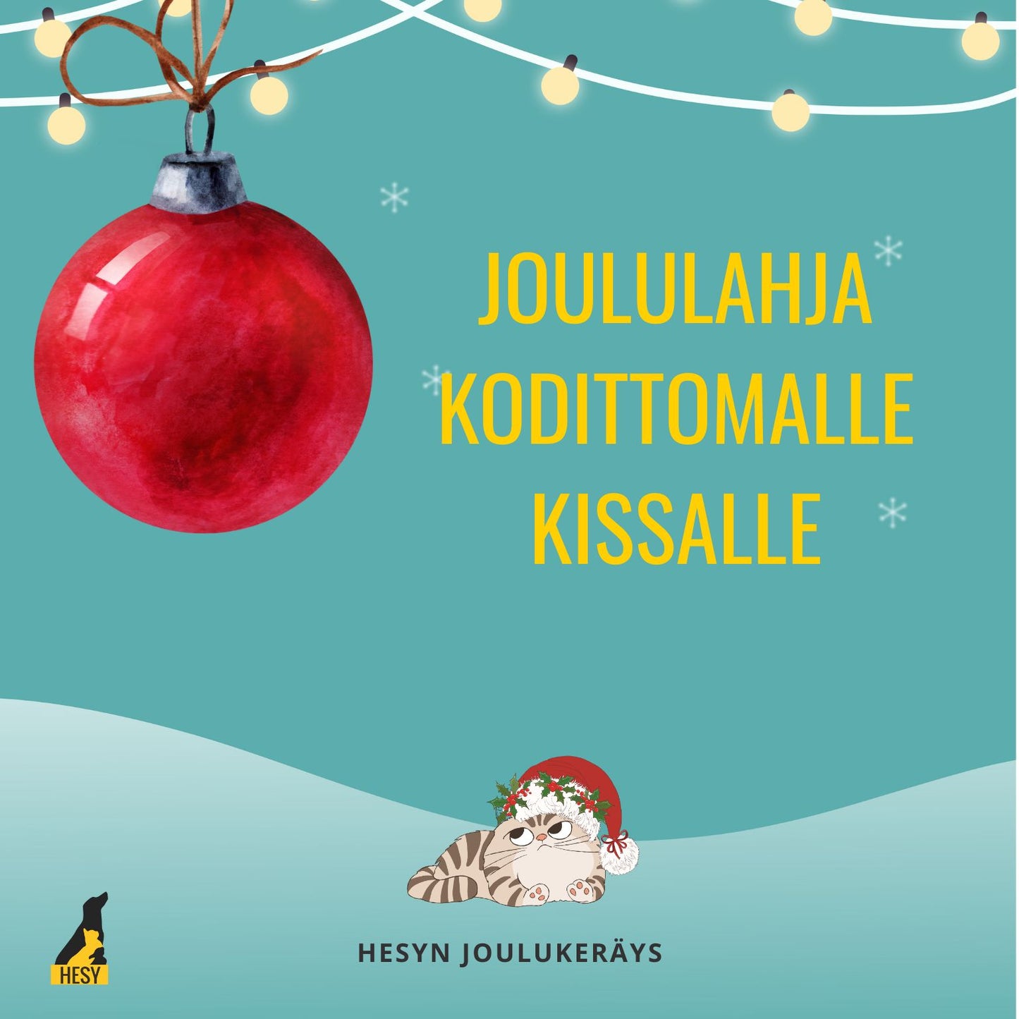 Joululahja kodittomalle kissalle