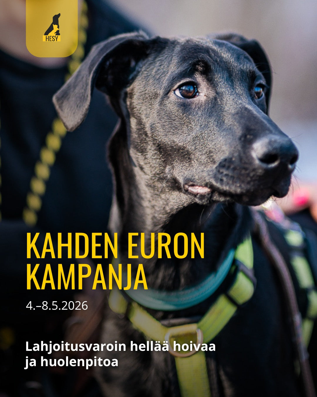 Kahden euron kampanja