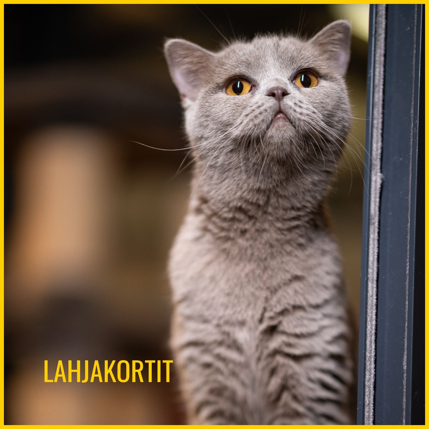 Lahjakortti HESY-puotiin