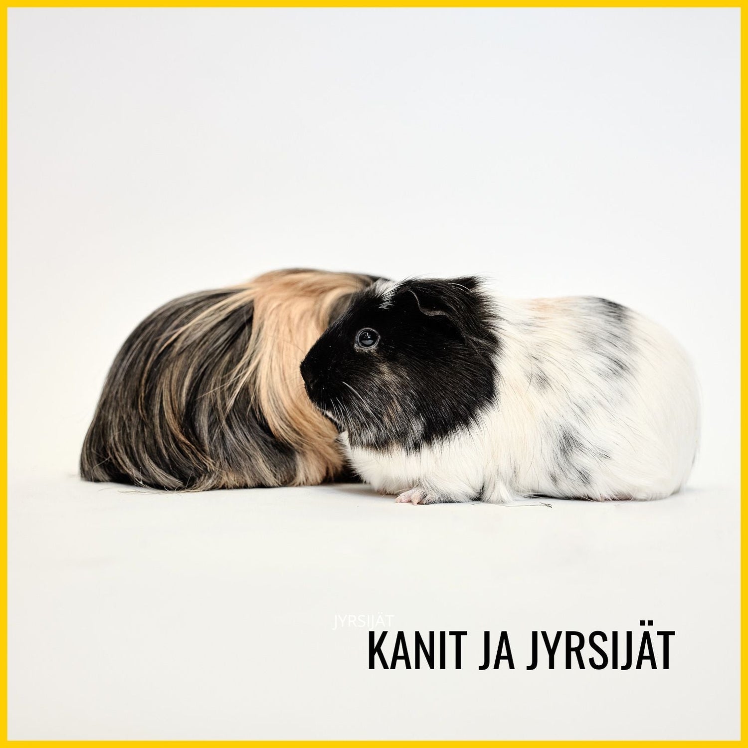 Kanit ja jyrsijät