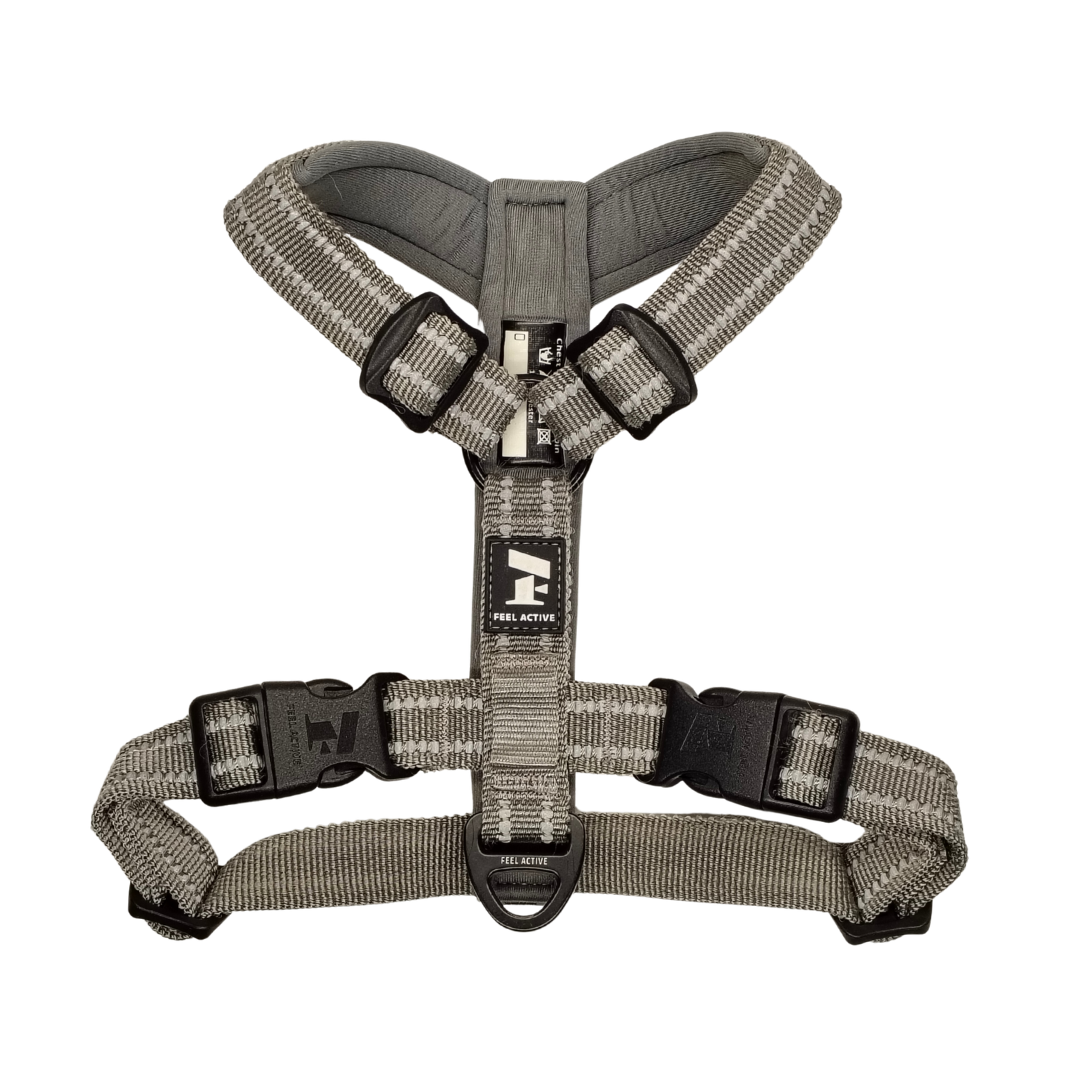 Pehmustettu valjas Feel Active Padded