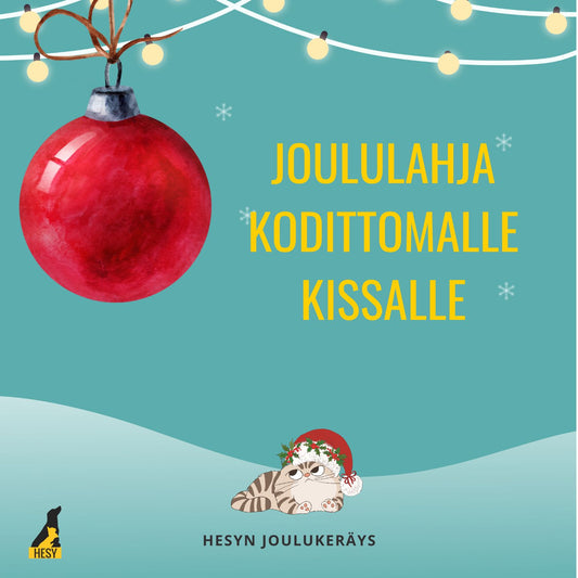 Joululahja kodittomalle kissalle