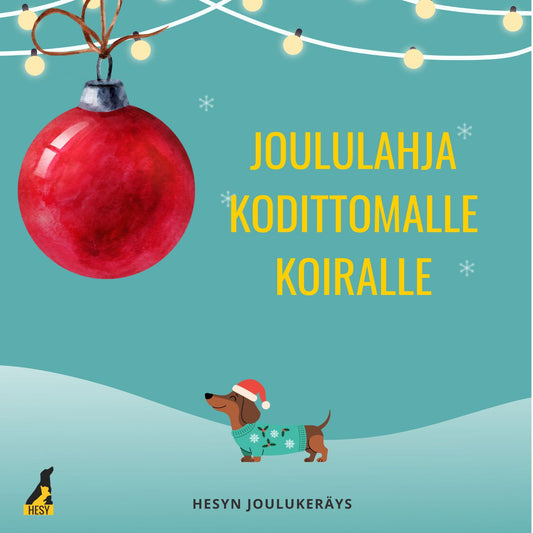 Joululahja kodittomalle koiralle