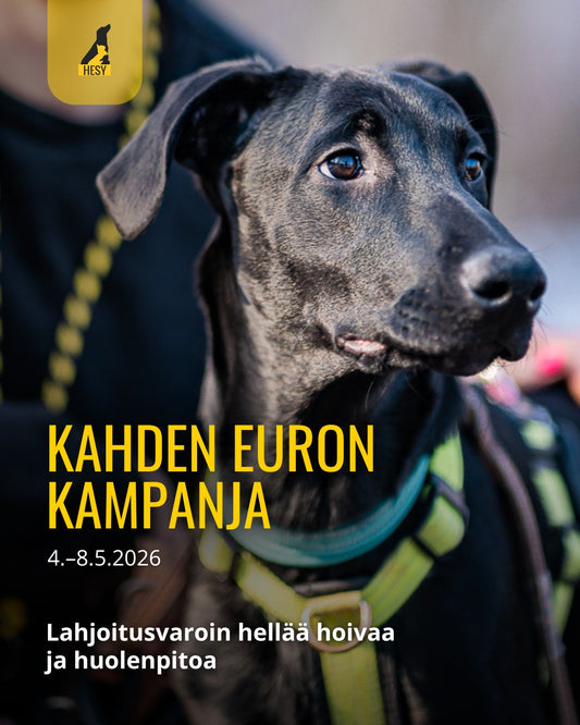 Kahden euron kampanja
