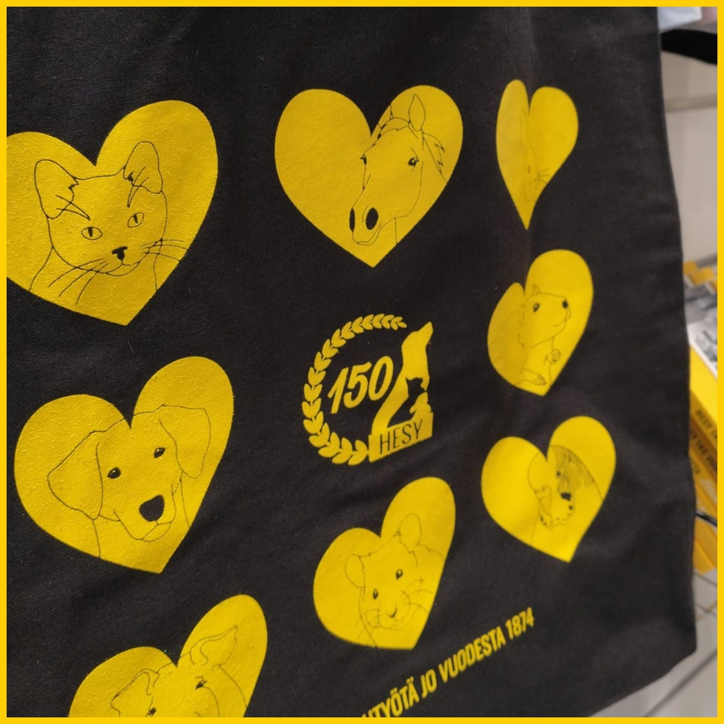 HESY-kangaskassi 12 €